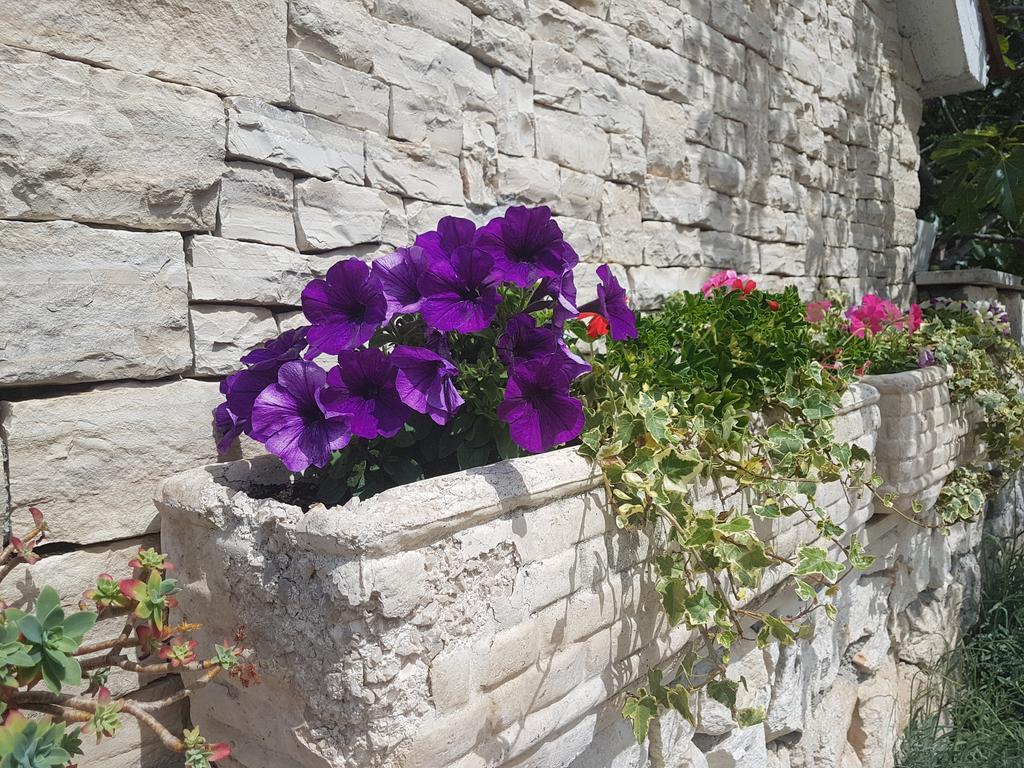 Apartment Adis Sibenik Ngoại thất bức ảnh